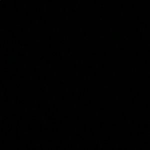 Meet your Posher, Ella